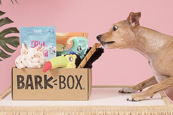 BarkBox Subscription: Personalized and themed monthly boxes