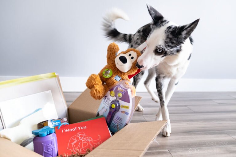 Best Dog Subscription Boxes