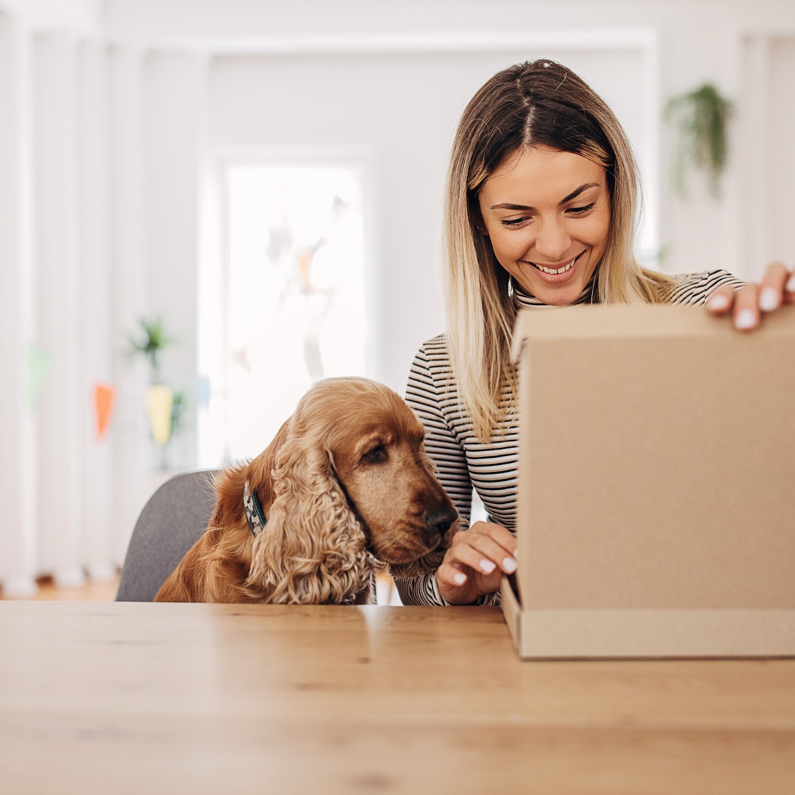 Are dog subscription boxes worth it?