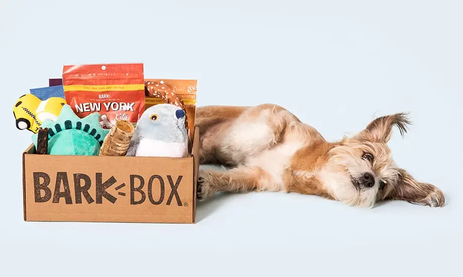 Bark Box Subscriptioinn