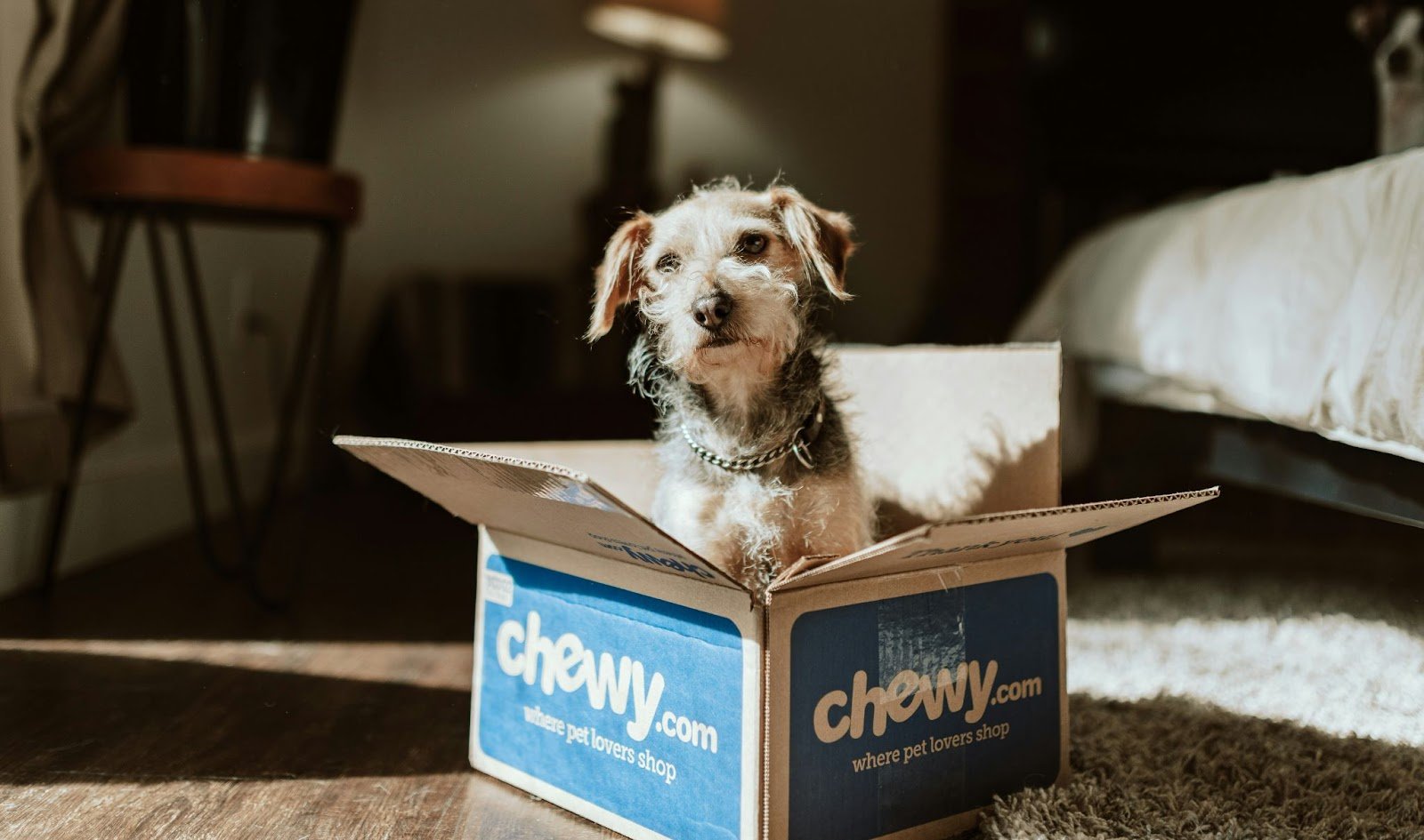 Dog Subscription Box