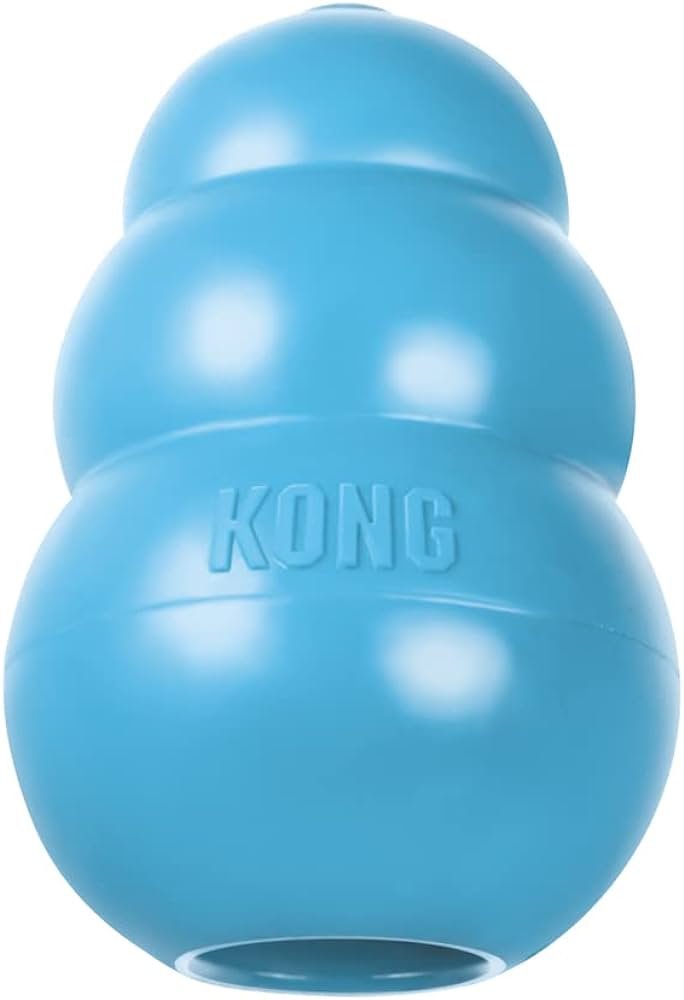 Kong Puppy Dog Toy: Best Overall toy for teething puppies