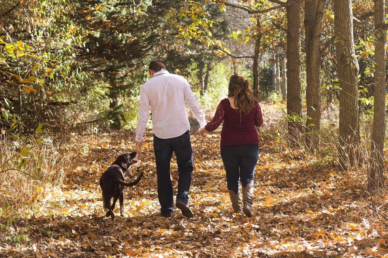 how to remove ticks on dogs