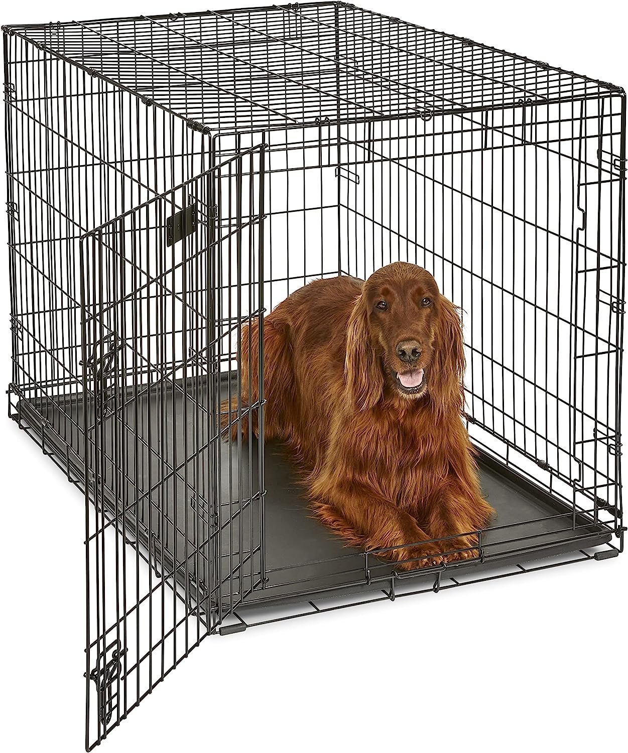 Midwest Homes for Pets Dog Crate: Best Overall