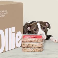 Purina® Pro Plan® Puppy: Best Overall Puppy Food